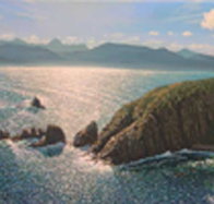 Colville Street Art Gallery - Holiday Sunshine Coast