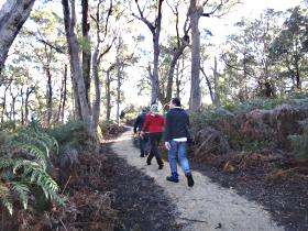 Bridport Walking Track - Sunshine Coast Tourism 0