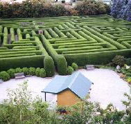 Westbury Maze and Tea Room - Sunshine Coast Tourism