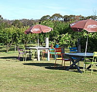 Cerise Brook Orchard  Family Golf
