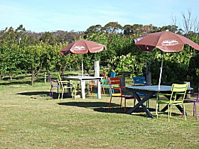Cerise Brook Orchard & Family Golf - Holiday Sunshine Coast 0