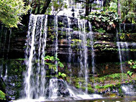 National Park TAS Sunshine Coast Tourism