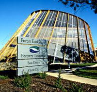 Forest EcoCentre - Holiday Sunshine Coast