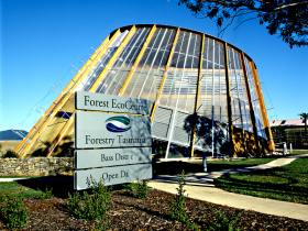 Forest EcoCentre - Sunshine Coast Tourism 0