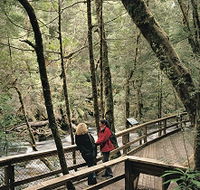 Franklin River Nature Trail - Sunshine Coast Tourism