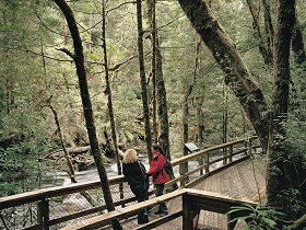 Franklin River Nature Trail - Sunshine Coast Tourism 0