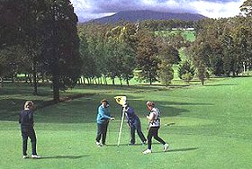 Deloraine Golf Course - Holiday Sunshine Coast 0
