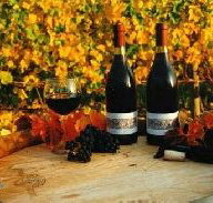 Craigow Vineyard - Holiday Sunshine Coast