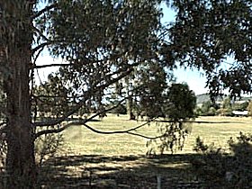 Cygnet Public Golf Course - Holiday Sunshine Coast 0