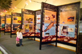 Platypus Experience - Holiday Sunshine Coast 0