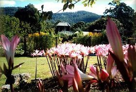 Blueberry Cottage Open Gardens - Holiday Sunshine Coast 0