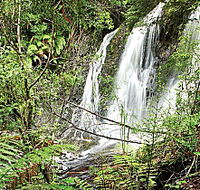Hogarth Falls - Sunshine Coast Tourism