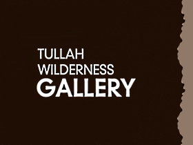Tullah Wilderness Gallery - Holiday Sunshine Coast 0
