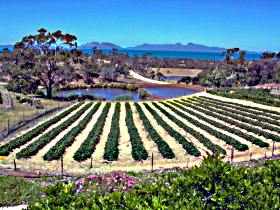 Kate's Berry Farm - Holiday Sunshine Coast 0