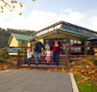 Australian Axeman's Hall of Fame - Sunshine Coast Tourism