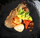 Sage - Holiday Sunshine Coast