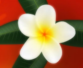 Well Retreat - Day Spa And Teahouse - Holiday Sunshine Coast 0