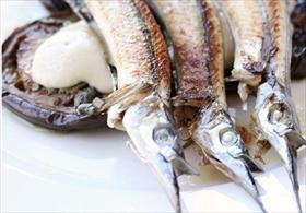 Harman ACT Sunshine Coast Tourism