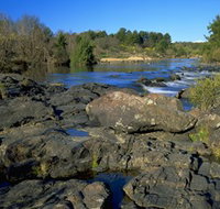 Pine Island to Point Hut Reserve - Holiday Sunshine Coast