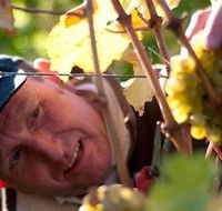 Puddleduck Vineyard - Sunshine Coast Tourism