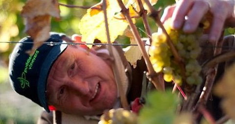 Puddleduck Vineyard - Holiday Sunshine Coast 0