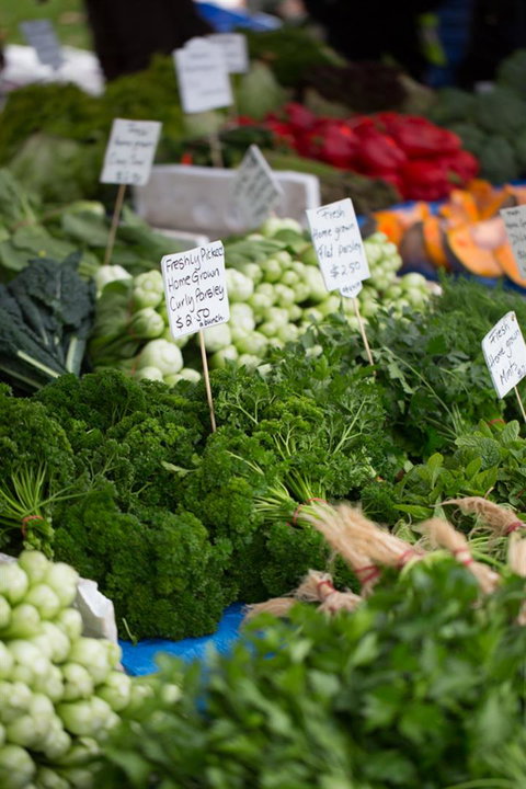 Salamanca Market - Sunshine Coast Tourism 5