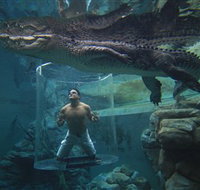 Crocosaurus Cove - Sunshine Coast Tourism