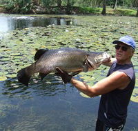 Barra Feeding