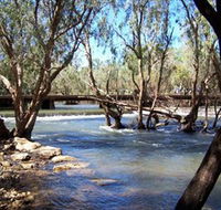Low Level Nature Reserve