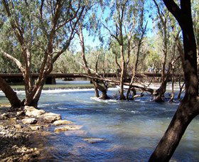 Low Level Nature Reserve - Holiday Sunshine Coast 0