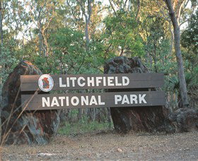 Bamboo Creek Tin Mine - Holiday Sunshine Coast 0