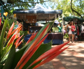 Nightcliff Markets - Sunshine Coast Tourism 0
