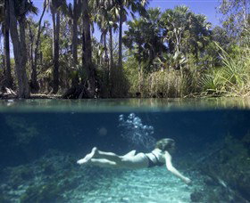 Bitter Springs - Holiday Sunshine Coast 0