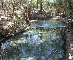 Katherine Hot Springs - Holiday Sunshine Coast 0