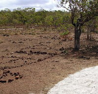 Wurrwurrwuy Garanhan Macassan Beach Interpretive Walk - Sunshine Coast Tourism