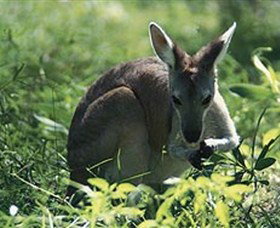 Sunshine Coast Tourism