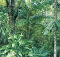 Westside Track Maiala - Sunshine Coast Tourism