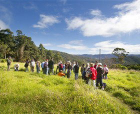 Apple Tree Park - Sunshine Coast Tourism 0