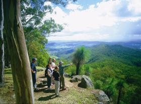 Gold Coast Hinterland Great Walk - Sunshine Coast Tourism 0