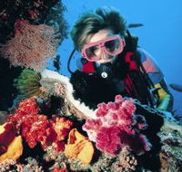 Nine Mile Reef Dive Site