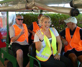 Luscombe QLD Sunshine Coast Tourism