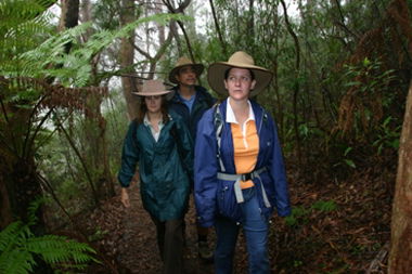 Mount Cougal, Springbrook National Park - Sunshine Coast Tourism 0