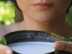 Doonan QLD Sunshine Coast Tourism