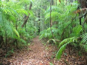 Mapleton QLD Sunshine Coast Tourism