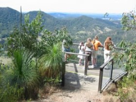 Mapleton Forest Reserve - Sunshine Coast Tourism 0