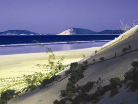 Cooloola, Great Sandy National Park - Holiday Sunshine Coast 0