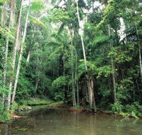 Mount Allan Trail - Holiday Sunshine Coast