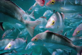  Holiday Sunshine Coast