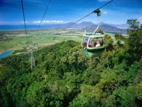 Skyrail Rainforest Cableway - Holiday Sunshine Coast 0