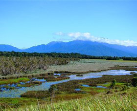 Eubenangee Swamp National Park - Holiday Sunshine Coast 0